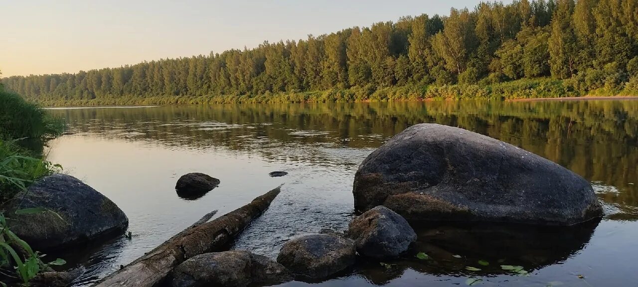 Река Мста Великий Новгород. Исток реки Мста в Новгородской области. Леса и реки Новгородской области. Озера Новгородской области. Лодки новгородская область