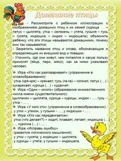 Лексические темы в младшей группе
