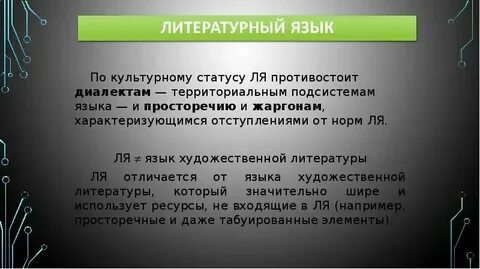Литературный язык язык прошедший длительную обработку