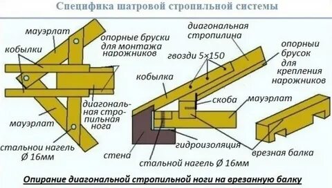 Кобылка в стропильной