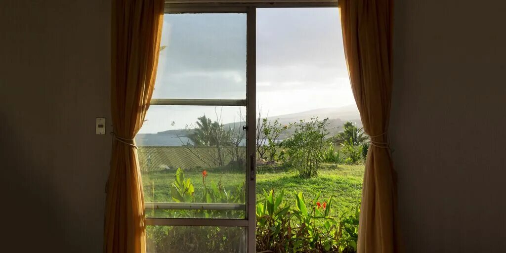 They had their window. Вид из окна. вид из деревенского открытого окна писателя. арес из моего окна фото. fake window video.