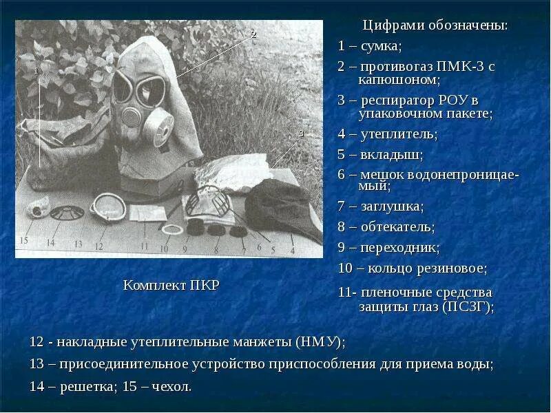 Как расшифровывается скз