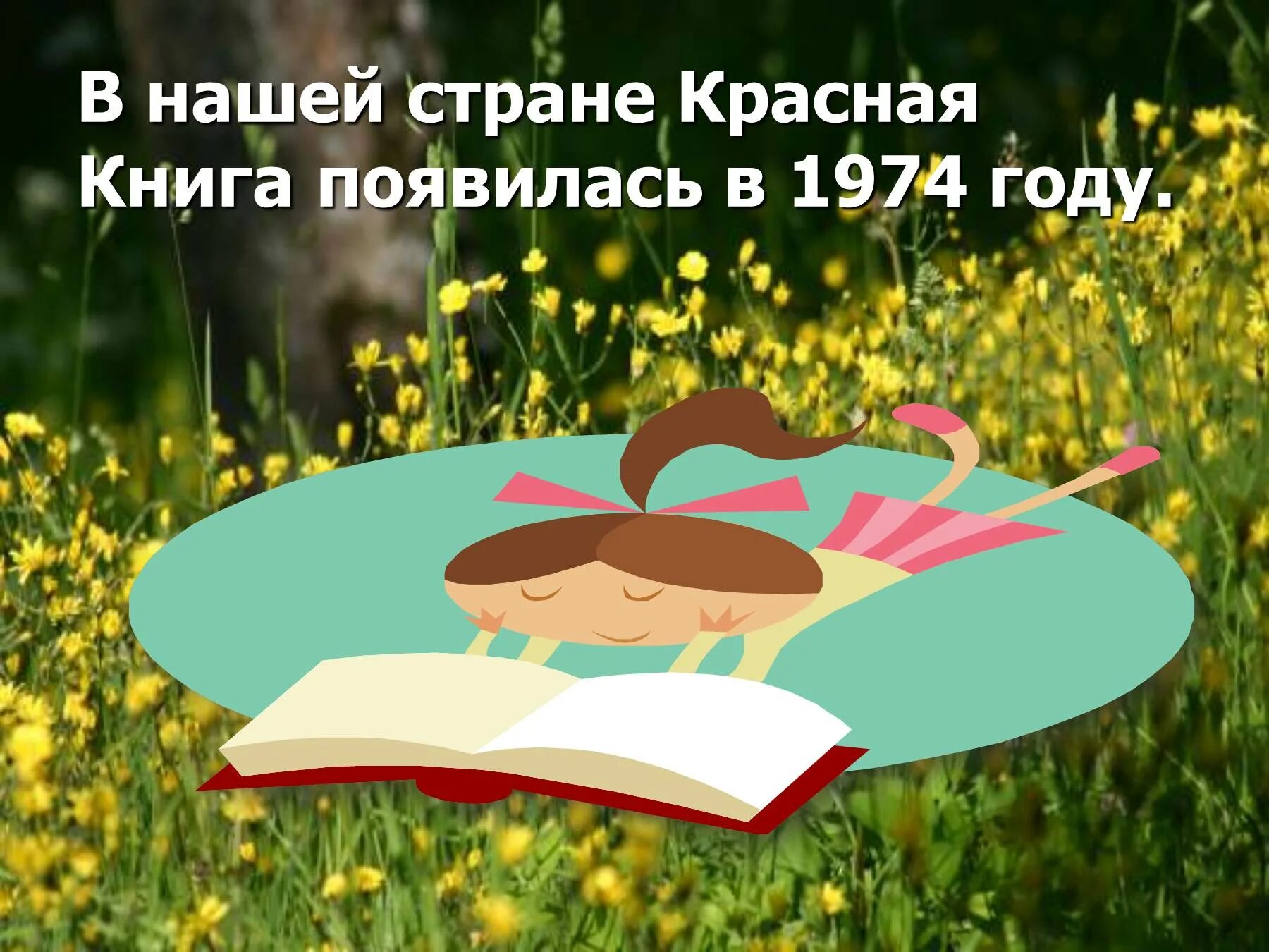 Красная страна книга