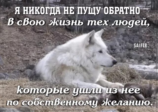 Ни стали. Уходя из моей жизни не возвращайтесь. Я никогда не пущу в свою жизнь. Статус уйди из моей жизни. Мне наплевать на тех кто уходит из моей жизни.