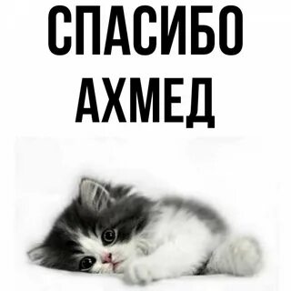 Ахмед какое имя