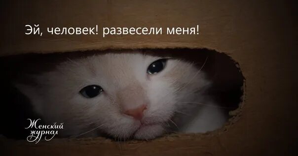 Как развеселиться
