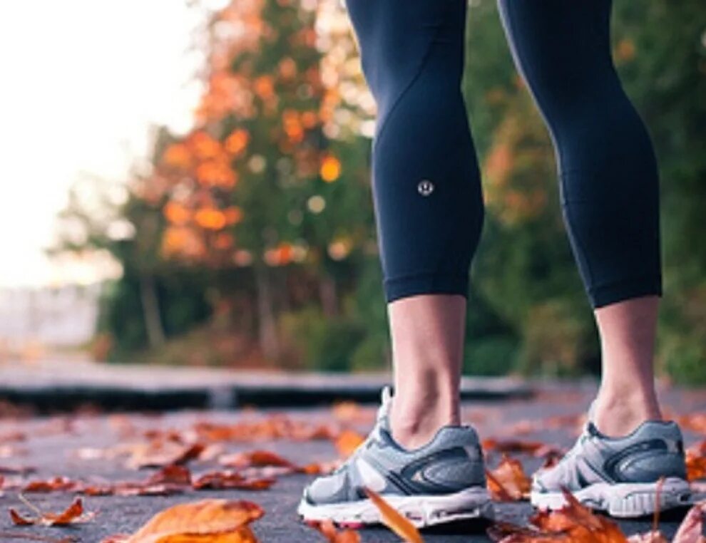 Fall run