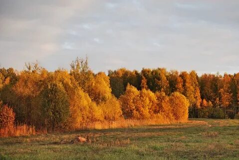 Осенний область