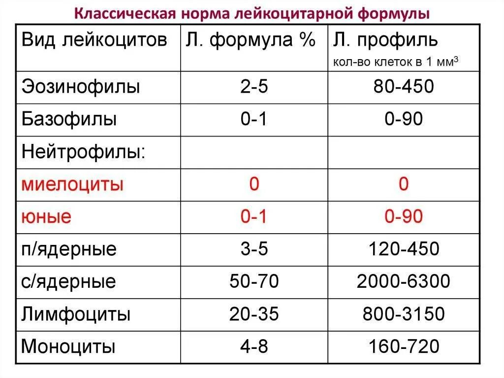 Показатели лейкоцитарной формулы в норме. Нормальная лейкоцитарная формула крови. Абсолютное количество клеток крови норма. Нормы показателей лейкоформулы. Лейкоциты ниже 3