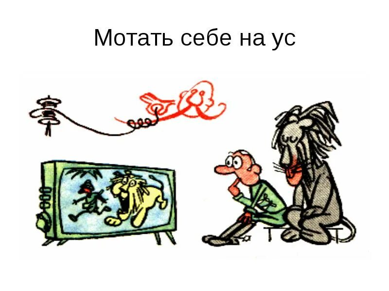 Не замечает фразеологизм. Иллюстрация к фразеологизму. Фразеологизмы рисунки. Намотать на ус фразеологизм. Намотать себе на ус фразеологизм.