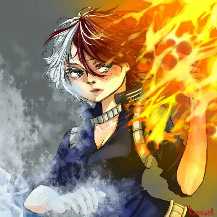 Сестра тодороки. Todoroki fem. mha todoroki fem. fem тодороки шото. shoto todoroki female.
