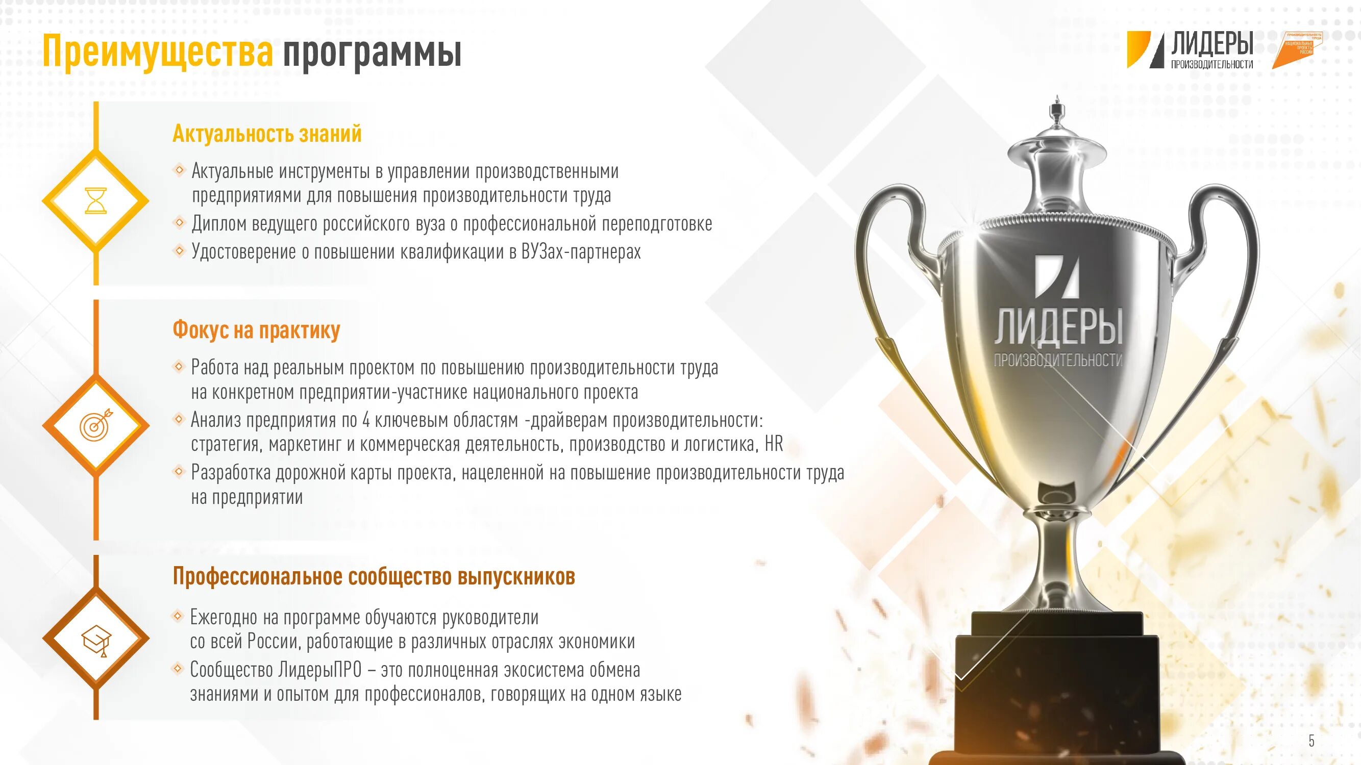 Дополнительная программа лидеры. Лидеры производительности программа. лидеры производительности лого.