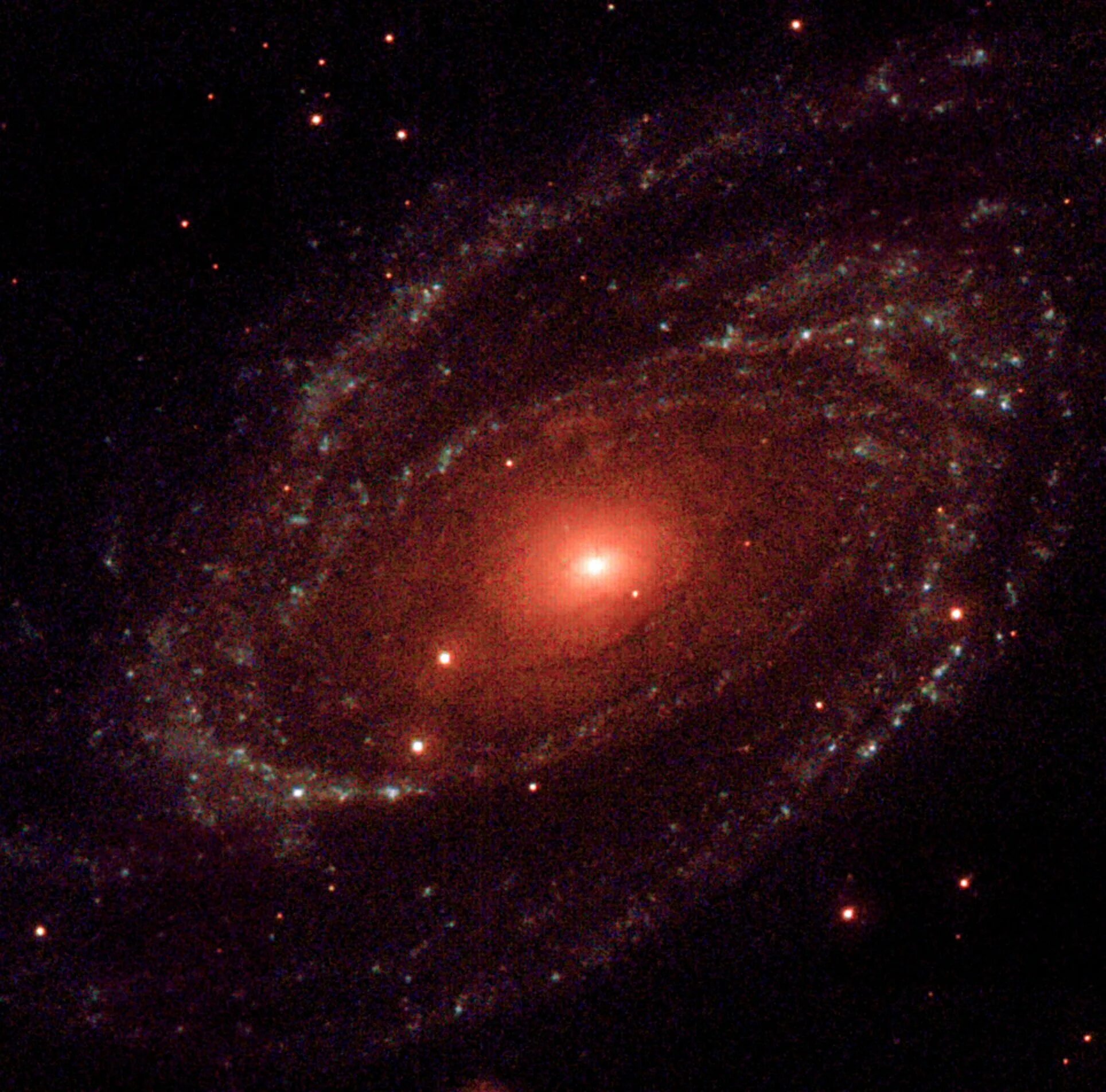 Что больше по размеру вселенная или галактика. Галактика Боде м81. Галактика Боде (m81, NGC 3031). Галактика Боде м81 на небе. Spiral Galaxy m81.