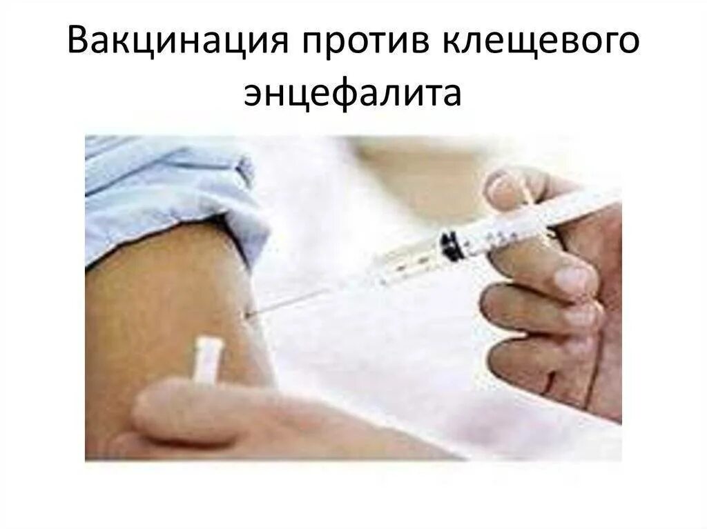 Протокол прививки от клещевого энцефалита. Клещевой энцефалит вакцинация. Прививки против клещевого энцефалита. Введение вакцины против клещевого энцефалита.