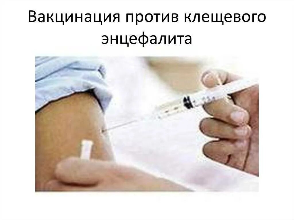 От прививки от клеща поднимается температура. Вакцинация против клещевого энцефалита. клещевой энцефалит вакцинация. прививки против клещевого энцефалита. введение вакцины против клещевого энцефалита.