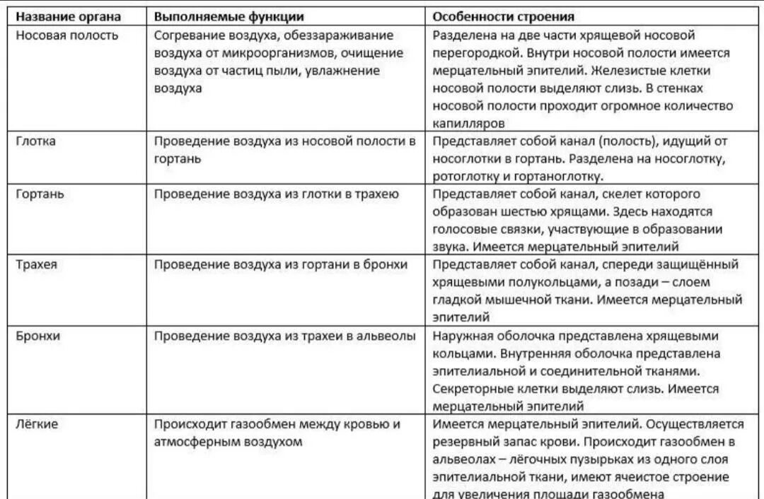 Выполняемые функции особенности. Строение и функции дыхательной системы таблица. строение и функции органов дыхания таблица. дыхательная система таблица название строение функции. дыхательные пути таблица 8 класс.