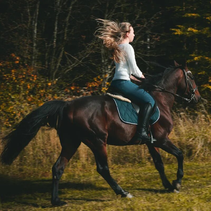 КСК Heavenly Horse. Блондинка на конных прогулках. Конно-спортивный клуб Валищево. Конный клуб Валищево.