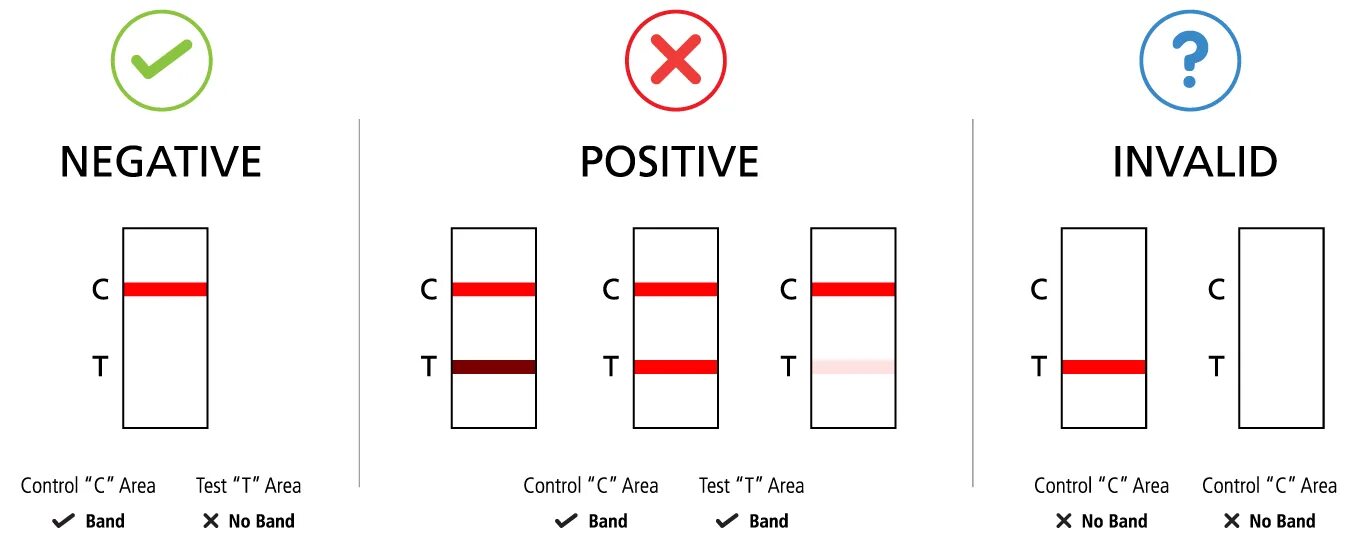 Антиген тесты covid 19. Антиген тест на коронавирус 2 полоски. Тест на ковид antigen Rapid Test. Тест на антиген результат положительный. Тест на ковид полоски.