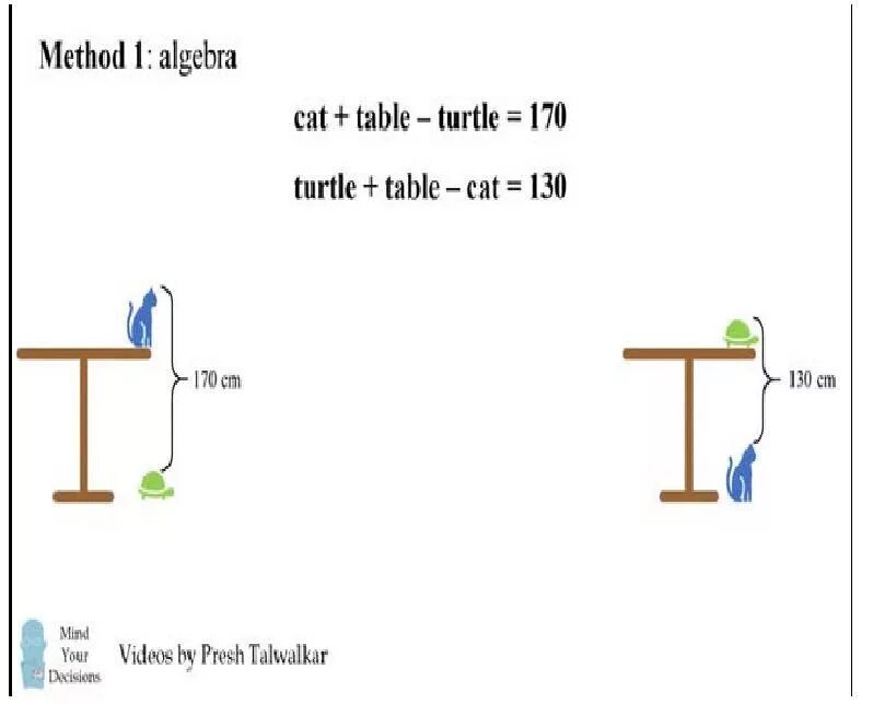 Задача высота стола. Задача про высоту стола. Задача про стол кота и черепаху. Решение задачи про высоту стола с котом и черепахой. Задача про кошку и черепаху на столе.