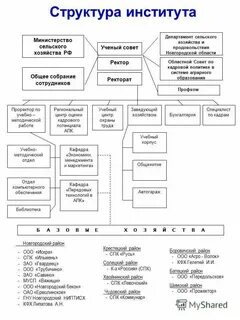 Структура общего образования это