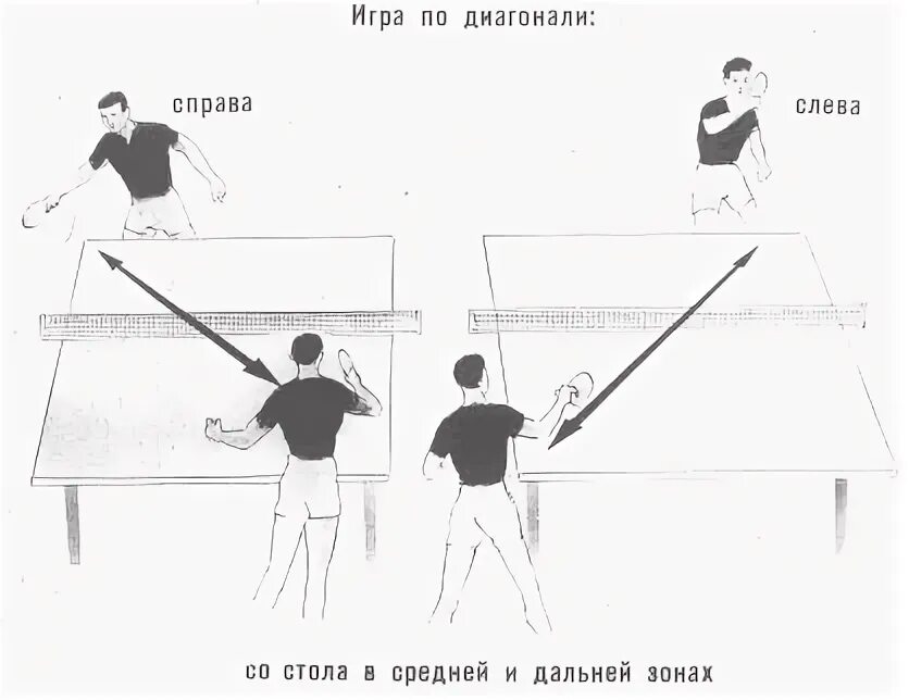 Удар в теннисе сканворд. Правила игры в настольный теннис.