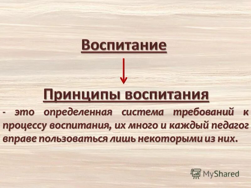 Укажите принципы воспитания