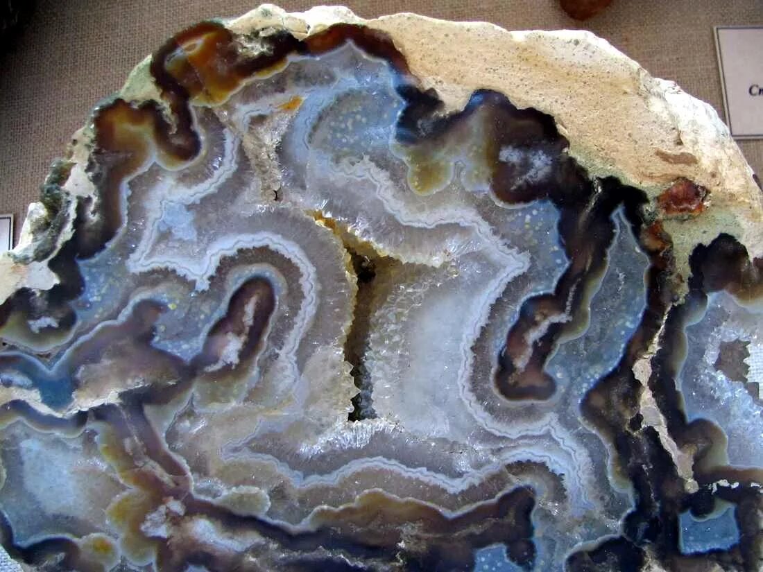 агат подмосковный. старые агаты. агаты новобурино. халцедон жеода почечный наросты. моховые агаты.