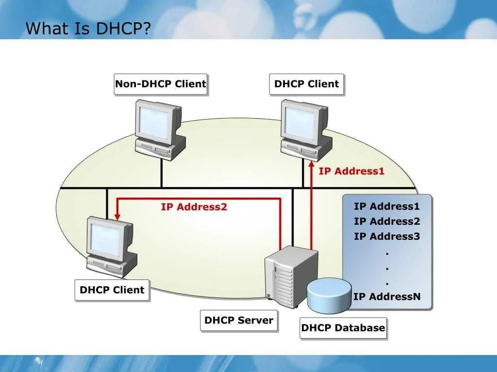 Статические и динамические IP адреса. Статическое отображение IP-адресов. DHCP сервер. Статический IP.