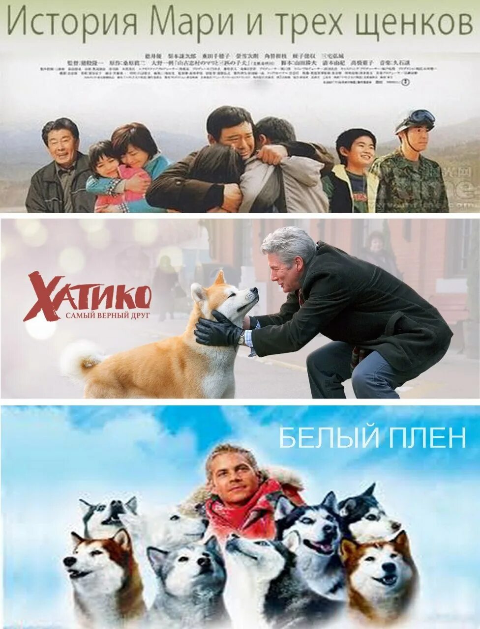 мари и ее щенки. история мари и трех щенков 2007. история мари и трех щенков фильм 2007. мари и 5 щенков. история мари и трех щенков фильм 2007.