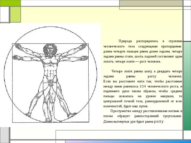 Длина рук составляет. Изображение человека с четырёх сторон. Длина рук относительно роста рисунок. Пропорция ладони к телу. Длина вытянутых рук равна росту человека.