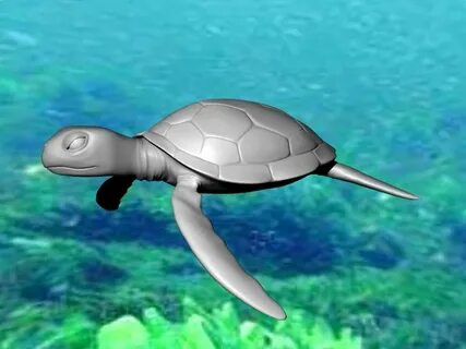 Turtle 3