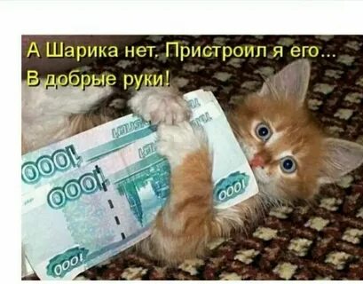 Дай зарплату картинка