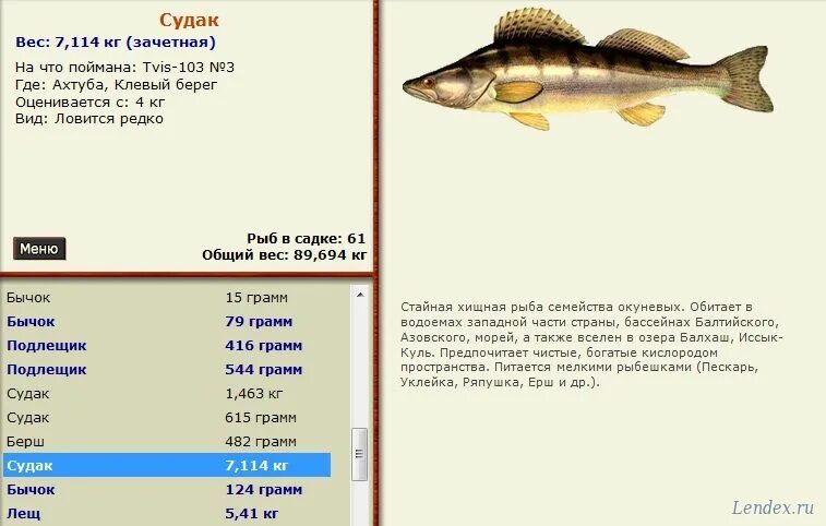Огромный судак на спиннинг. 7. Места стоянки рыбы на реке. Где ловить судака. Озеро судак русская рыбалка 3.