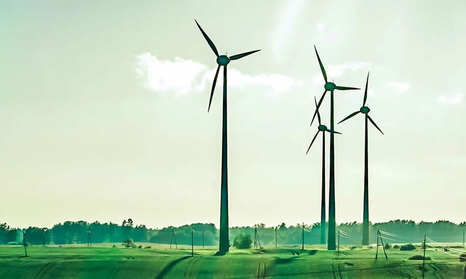 Looking after the environment. Looking after the environment