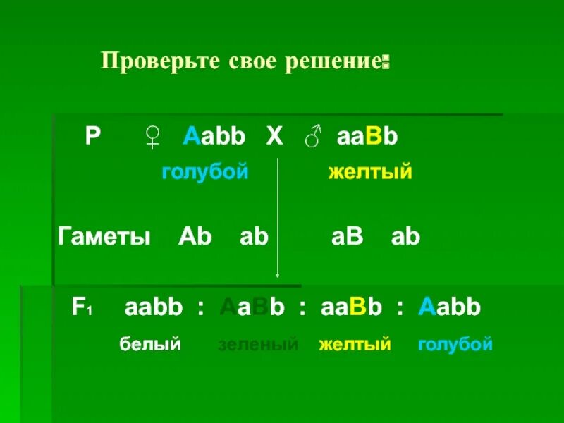 Гамет генотипа aabbcc. AABB AABB. AABB Х AABB. AABB X AABB решение. AABB гаметы.