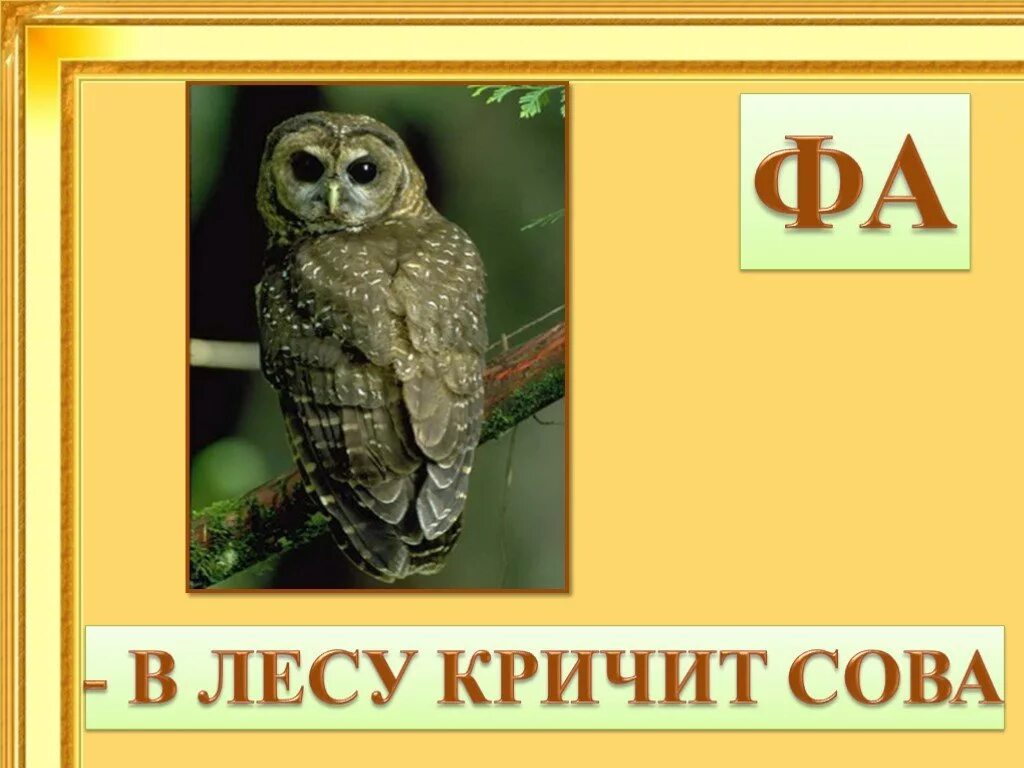 Я тебя целую под крики сов однажды. Фа в лесу кричит сова. в лесу крикливый филин. сова кричит. как кричит сова.