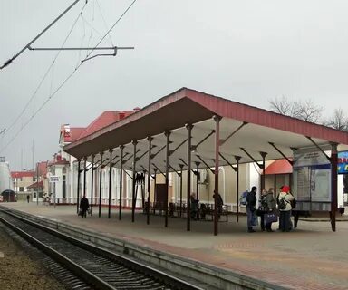 Молодечно гудогай