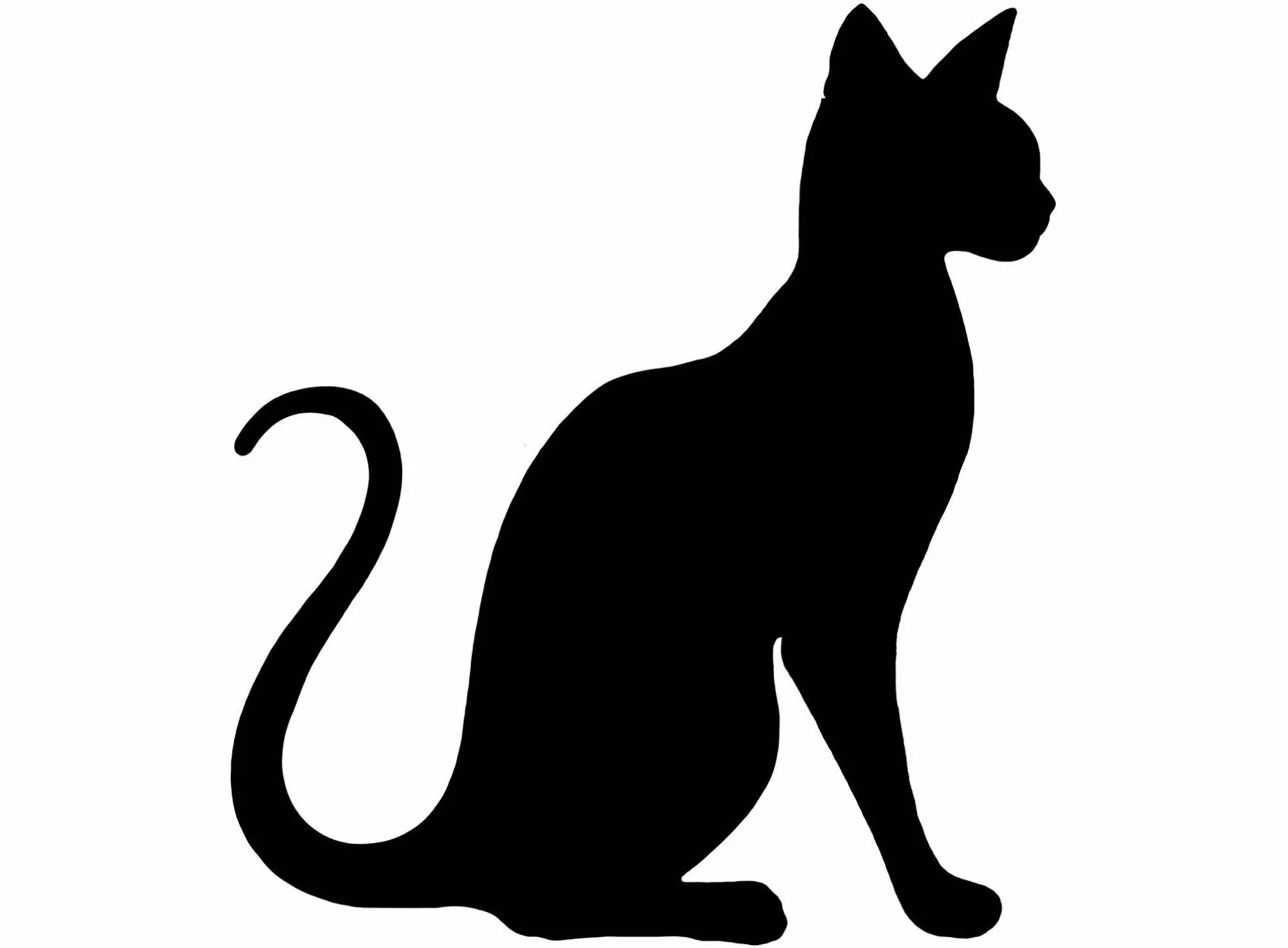 Силуэт кошки картинки. Силуэт кошки. кошка силуэт для вырезания. силуэт сидящей кошки.
