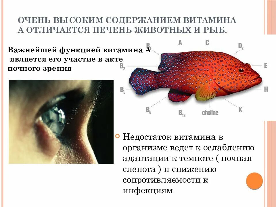 Печень каких рыб можно есть. Витамины в рыбе. витамины и минералы в рыбе. полезные витамины в рыбе. рыба какие витамины содержит.