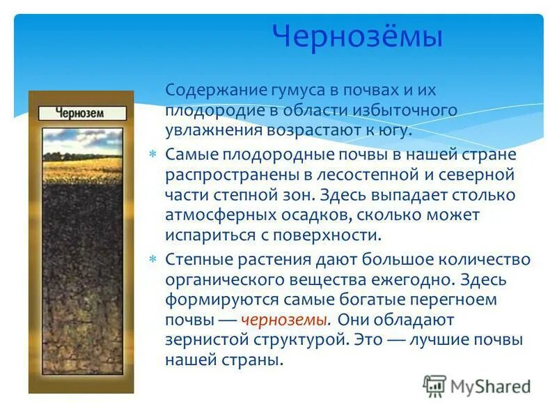 Черноземы содержимое гумуса. Самые распространенные почвы в нашей стране. Самые распространённые почвы в нашей стране. Почвы по плодородию.