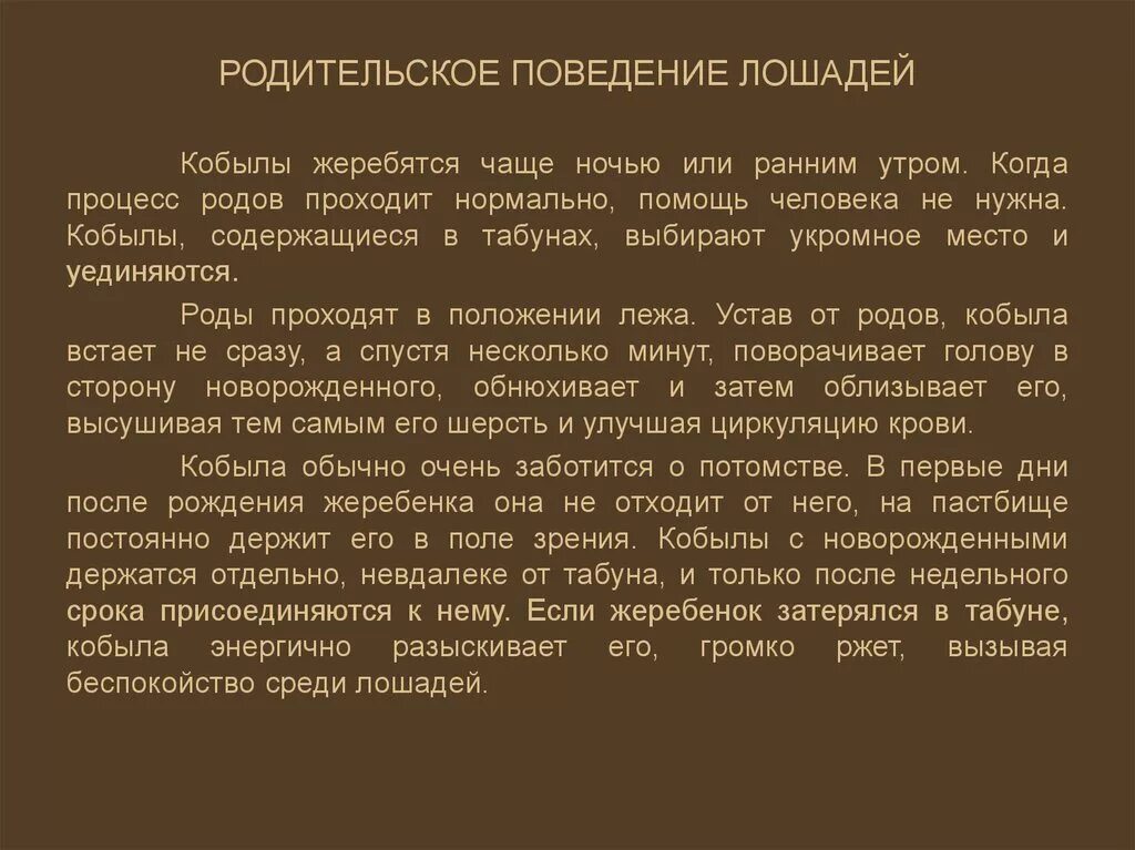 Особенности поведения лошадей. Как понять поведение лошади. Родительское поведение. Родительское поведение животных презентация.