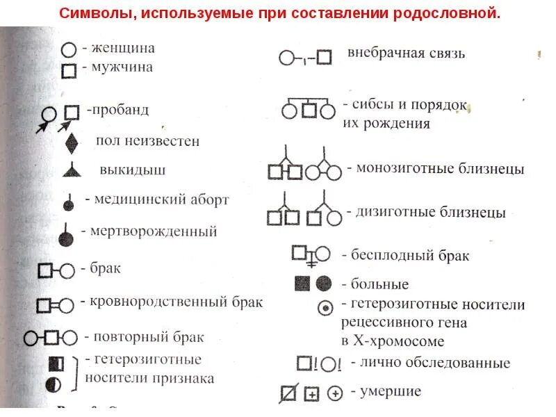 Обозначения в родословной. Символы используемые при составлении родословной генетика. условные обозначения, используемые при составлении родословных. генеалогический метод обозначения. генетические схемы обозначения.