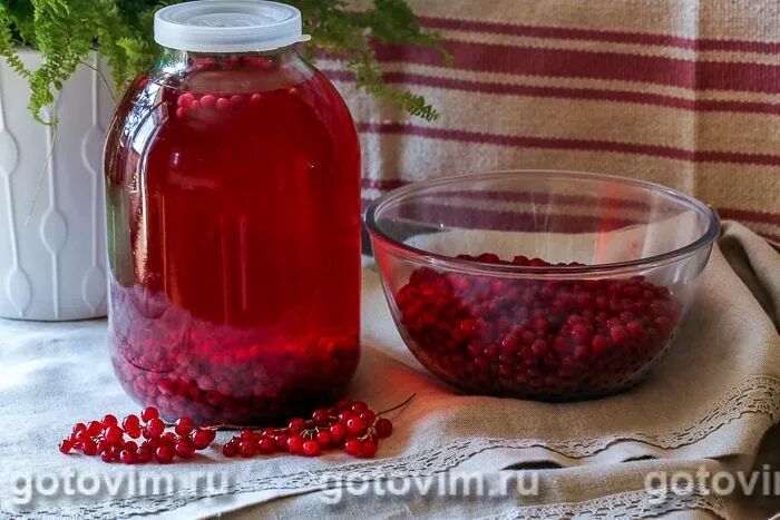 Компот из смородины на зиму 3. Компот из красной смородины на зиму на 3 литровую. морс из красной смородины. кисель из красной смородины. компот из белой смородины на зиму.