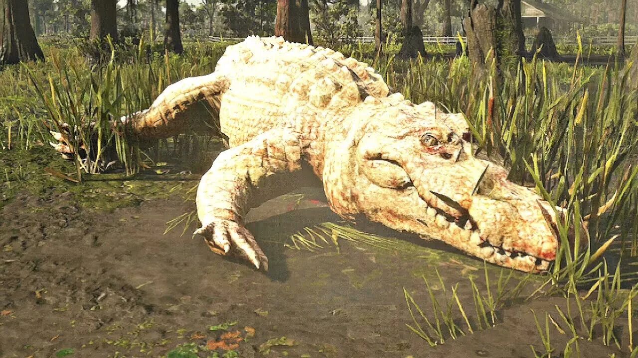 РДР 2 легендарный Аллигатор. Легендарный крокодил в РДР 2.