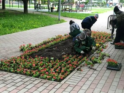 Отрадное цвет