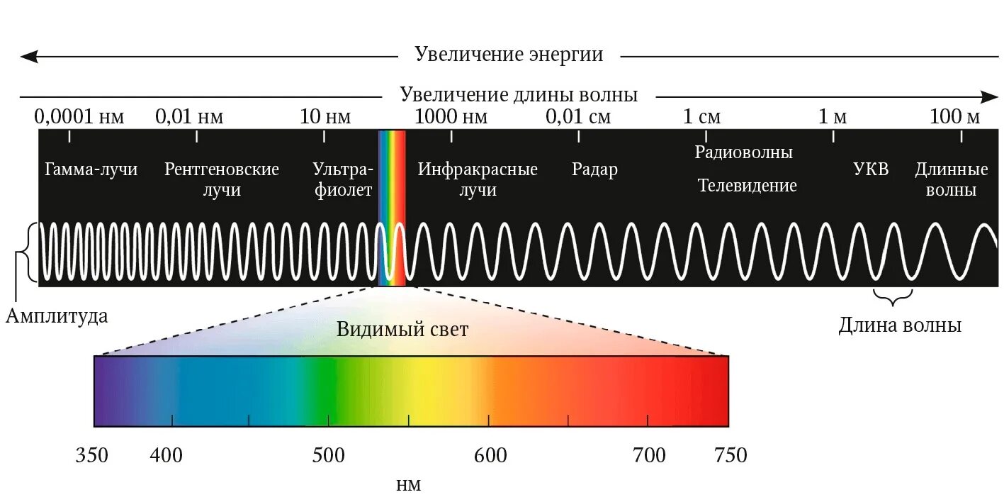 Частота видимых лучей. Длины волн видимого спектра. Длины волн электромагнитного спектра. Диапазон волн длин волн видимой части спектра. Электромагнитный спектр с длинами волн.