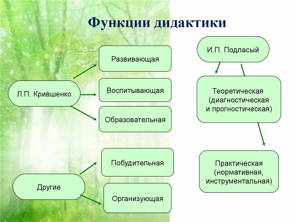 Дидактика основные категории