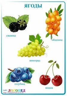 Неделя ягоды в средней группе