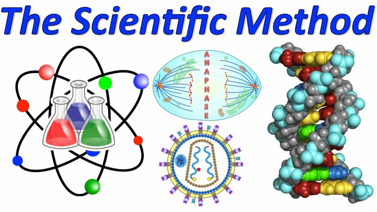 Scientific method. Эксперимент в биологии. Биологический опы опыт иллюстрация. Биологические эксперименты в настоящее время.