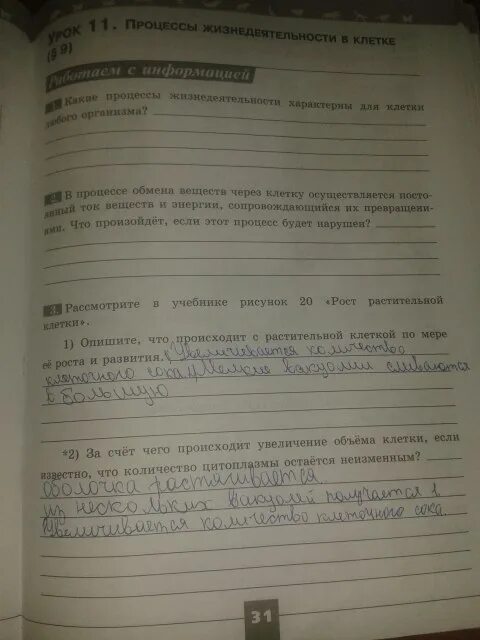 5 класс биология рабочая тетрадь параграф 15. Биология 5 класс рабочая тетрадь стр 31. Биология 5 класс рабочая тетрадь Пасечник стр 31. Рабочая тетрадь Пасечник 5 с ракушкой. Жизнедеятельность клетки 5 класс биология рабочая тетрадь.